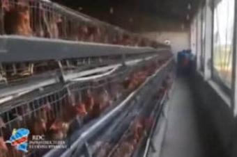 Ferme  Malulu 123 hectares 7.380.000